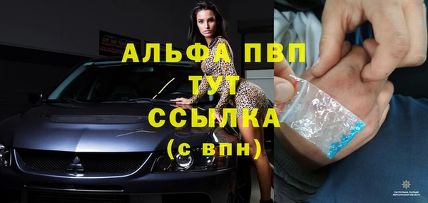 эйфоретик Надым